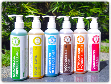 Bottles of natural all-purpose, toilet, glass, wood, bathroom and dishwashing cleaners