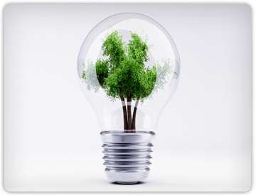 A tree growing inside a light bulb